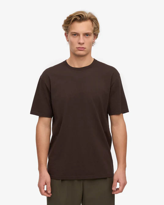 Regular T-Shirt - Brown
