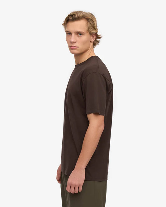 Regular T-Shirt - Brown